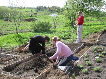 kristine graver dypt